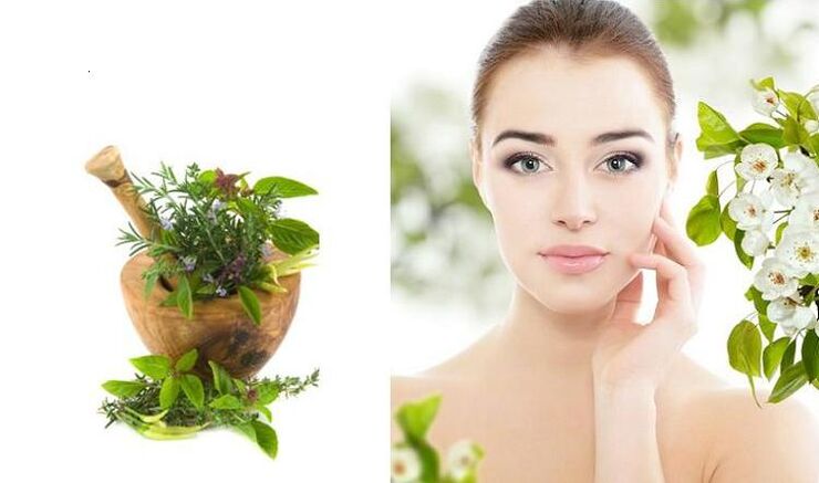 How to use herbs for rejuvenation. 