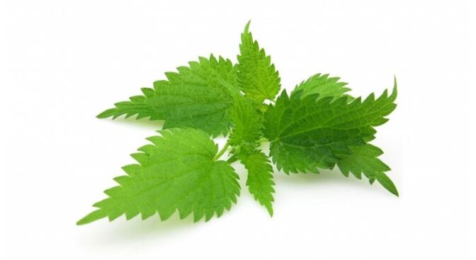 Nettle will eliminate acne and improve skin elasticity. 